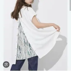 Item thumbnail for item 50a09b45-e083-4523-a9f4-f53a1545f2cf