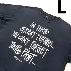 L 良品 黒 STUSSY ステューシー グラフィック プリント Tシャツ