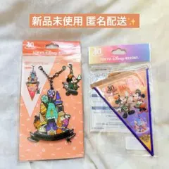 東京ディズニーランド 40周年 ハロウィーンバッグチャー厶 ガーランドセット