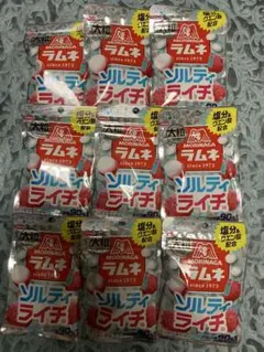 森永製菓 大粒ラムネ ソルティライチ味 9袋セットのサムネイル