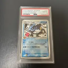 2025年最新】ギャラドス psa10の人気アイテム - メルカリ