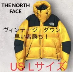 激レア　ザノースフェイス　90年代　ゴアロフトダウン