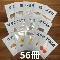 2026年最新】フラッシュカード ベビーパークの人気アイテム - メルカリ