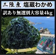 希少コリコリ食感】塩蔵元葉わかめ 茎付き 4kg 400g×10袋 三陸産