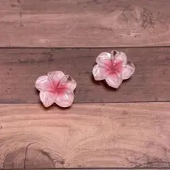 ジビッツ プルメリア クリアピンク ㉜のサムネイル