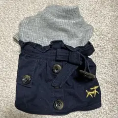 Item thumbnail for item 2f3b2716-96d1-4830-831f-616f881ad38c