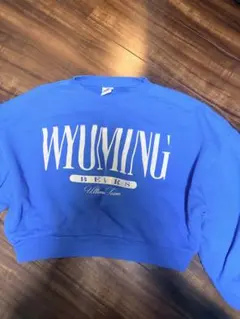 RODEO CROWNS WIDE BOWL スウェット ブルー