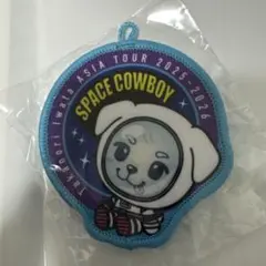 岩田剛典 SPACE COWBOY カプセル ワッペンバッジ
