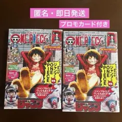 【新品・未開封】ワンピースマガジン 2冊　ルフィ プロモ ワンピースカードゲーム