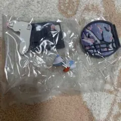 ポケモン 和の窓 ユキメノコ