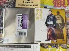 Item thumbnail for item 80ea84ba-a9f8-422a-928d-245d38d3da63