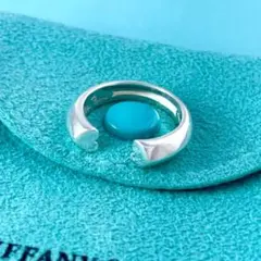 1円 TIFFANY＆Co. ティファニー パロマピカソ ラビングハート SV925 ピアス 耳飾り アクセサリー レディース シルバー系 AG5246テオ