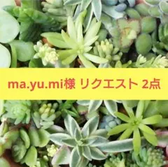 ma.yu.mi様 リクエスト 2点 まとめ商品