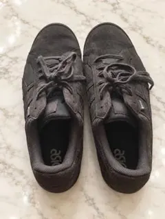 ASICS GEL-PTG GTX 29.0 gore-tex ゴアテックス