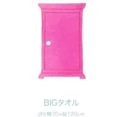 未開封新品　スリーコインズ　ドラえもん　BIGタオル