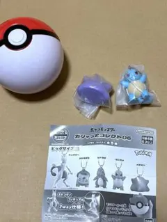 r*w様 ポケモン　ガシャっとコレクト06