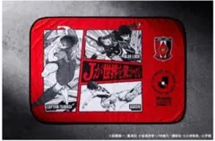 【新品未使用・未開封・非売品】浦和レッズ 限定ブランケット