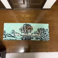 平沢進＊新品未使用＊ノモノスとイミューム2013＊マフラータオル