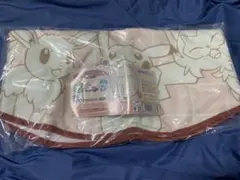 新品未開封✨ポケモンブランケット