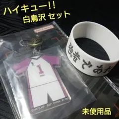 未使用 ハイキュー!! 白鳥沢セット アクリルチャーム＆ラバーバンド
