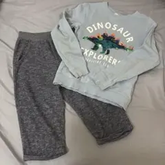 恐竜 スパンコール