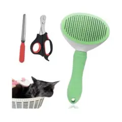 Item thumbnail for item 8a3c49a8-b717-49ab-90b5-8f38e9a9d53b