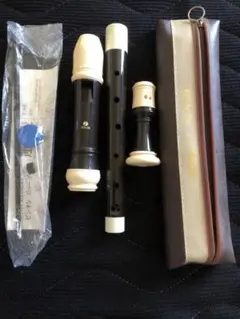 Item thumbnail for item 371b5ec5-daa8-44f6-97b3-472f94ce23b6