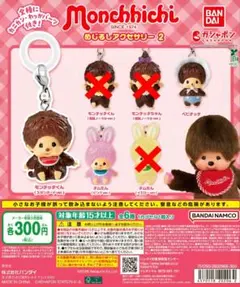 モンチッチめじるしアクセサリー2