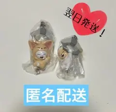 SKZOO ガチャ つまつな ジニレット フォクシニー