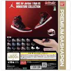NIKE Air Jordan 1 High 85 2点セット