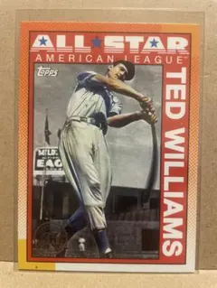 テッド・ウィリアムズ　topps 2025 MLB ベースボールカード