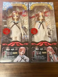 アゾン えっくす☆きゅーと Mia（みあ）シャム猫コーデset azone
