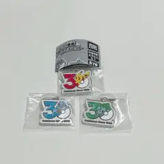 ポケモン　30周年　メタルチャームマスコット　3点セット