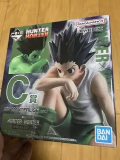 HUNTER×HUNTER ゴン MASTERLISE C賞