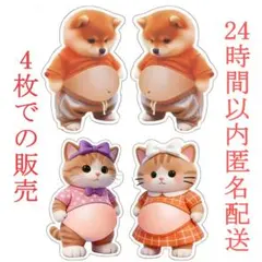 柴犬 猫 ぷにぷにお腹 シール 3D キャラクター ステッカー 4枚 2シート