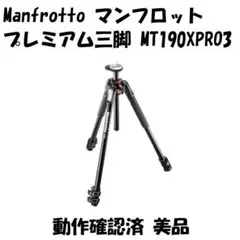 Item thumbnail for item 73de542e-38fd-4061-a6b1-ab92aae03408