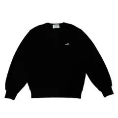 ラコステ LACOSTE 黒ワニ Vネック コットンニットセーター プル