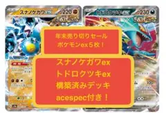 ym(4)1月末まで限定＂ワンコインデッキ＂トドロクツキex、構築済みデッキ