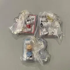 PEANUTS スヌーピーパッケージチャーム3点セット