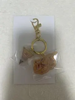 ディズニーランド40周年プルートキーホルダー