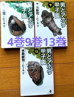 男どアホウ甲子園 文庫　４　９　１３
