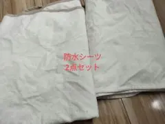 Item thumbnail for item e9a3c4b2-9252-4041-962c-e684c092a801