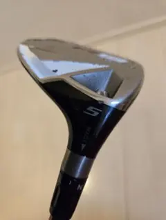 Item thumbnail for item 4a4c3c3d-61cc-4e75-a1bc-71224a3c7390