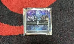 Acid Black Cherry　アクリルマグネットB