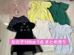 女の子 100㎝7点まとめ売りのサムネイル