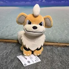 ポケモン ぬいぐるみ ガーディ