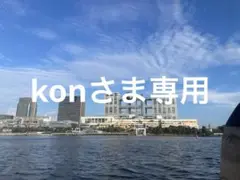 専用