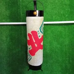 Item thumbnail for item 1f11e120-47dd-41d4-bd32-0b39ddba33e5