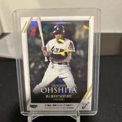 Item thumbnail for item 6e33d76d-a50c-4d33-898c-902d9870dc26