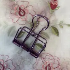 Item thumbnail for item fbc9c6d3-b96c-4da3-bb16-66fa00319c0a